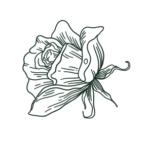 Decorative